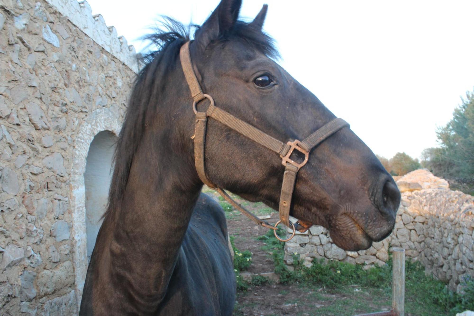Agroturismo Santa Mariana Alaior Luaran gambar