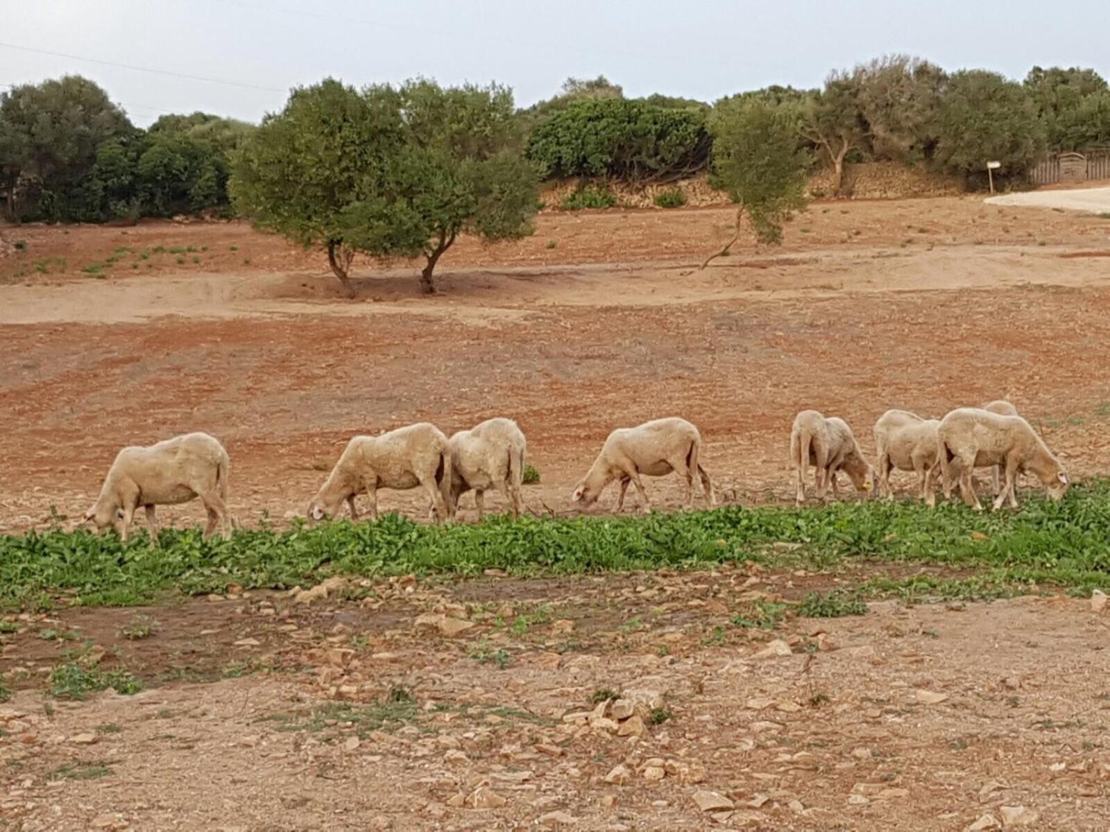 Agroturismo Santa Mariana Alaior Luaran gambar